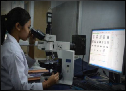 Microscope with CGH system (for Karyotyping)
