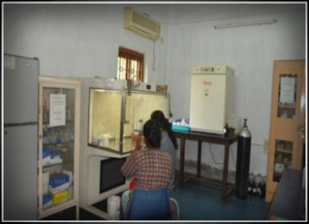 Cell Culture Lab